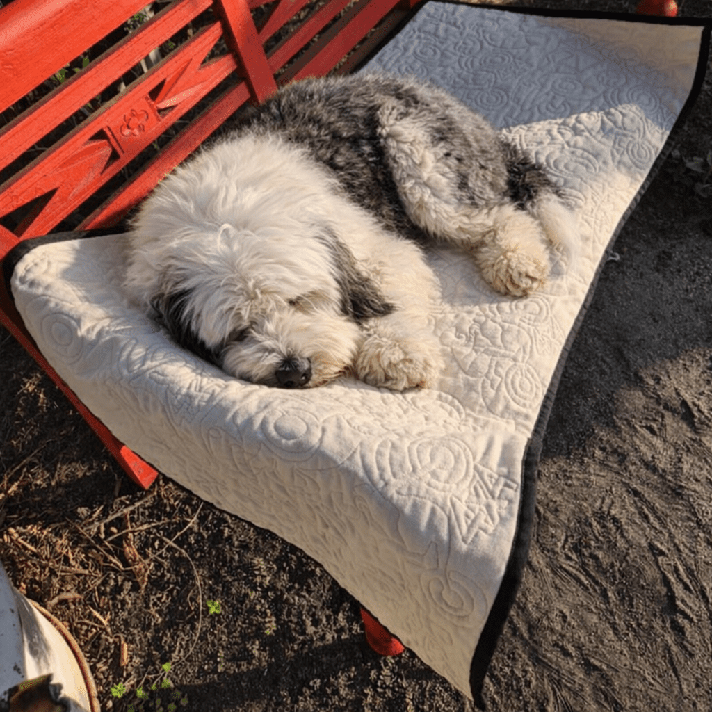 Dog Mat Back Seat- Beige4