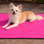 Dog Mat Small-Hot Pink2