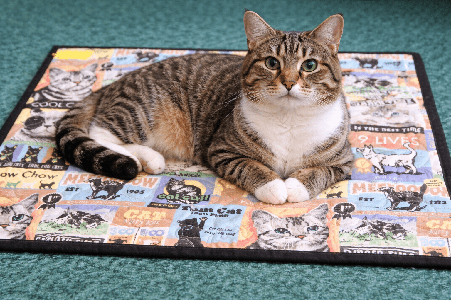 Cat Mat-Green-Small