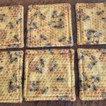 Drink Coasters- Yellow Bees